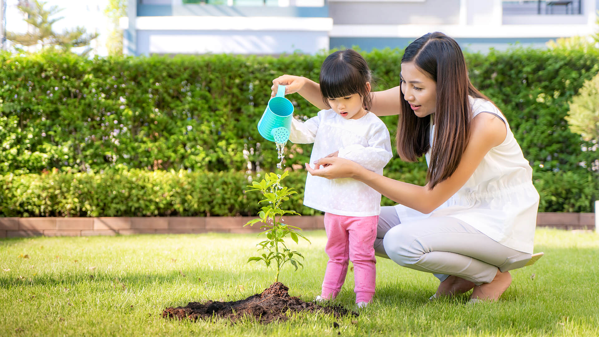 Eco Family Antisipasi Bencana Ekosistem Mulai Dari Diri Sendiri dan Keluarga