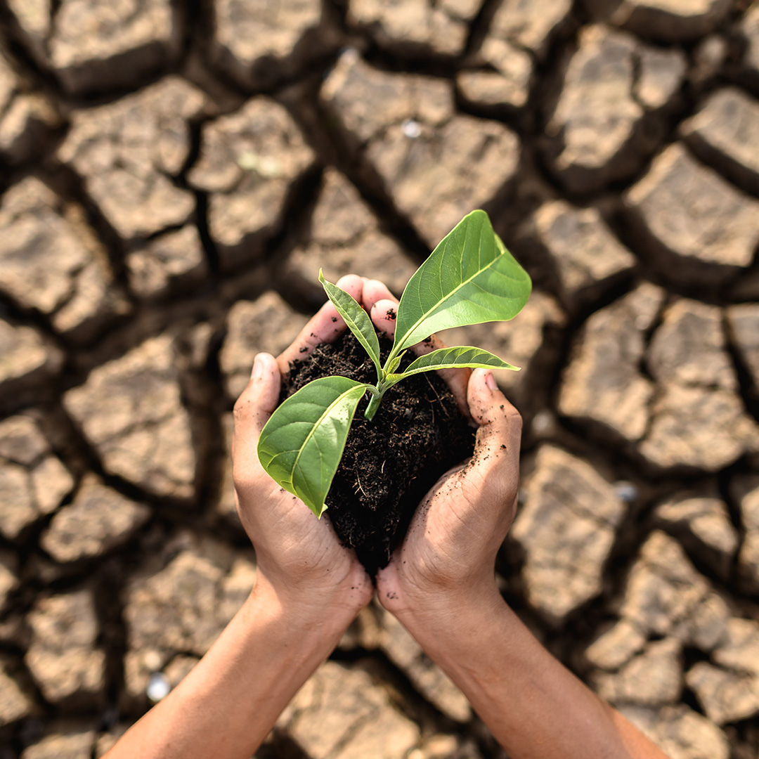Perubahan Iklim dan 1.5 Derajat Celsius: Kenapa Kita Harus Peduli